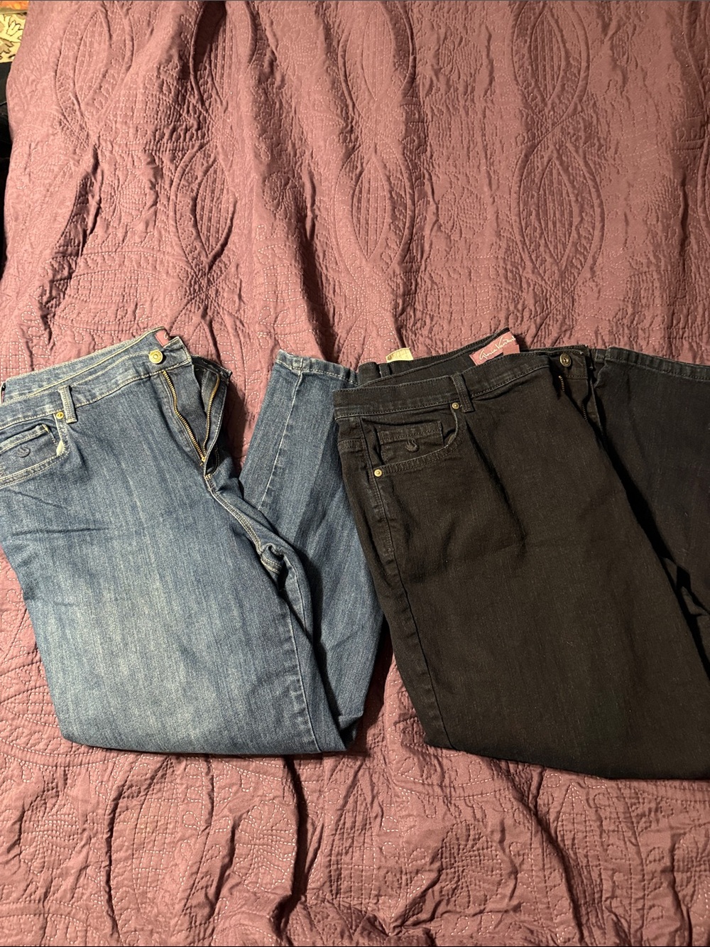 2 pair Women's Straight-Leg Jeans in Medium and Dark Blue - 20w short